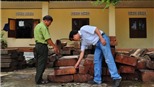 Kỳ  cuối: Lời nguyền của rừng xanh  