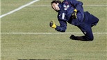 Italia không thể gọi Sirigu