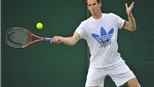 Murray thông cảm với Rooney