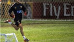 Cesc "OK"
