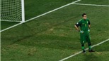 Đội hình 11 ngôi sao gây thất vọng nhất  World Cup 2010