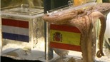 World Cup 2010: Bạch tuộc cái xuất hiện!