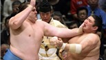 Scandal chấn động làng sumo Nhật Bản