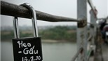 Em không dám qua cầu Long Biên