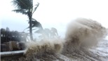 Cơn bão Côn Sơn nhấn chìm nhiều tàu thuyền