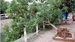Hà Nội "vui mừng" đón bão … hụt