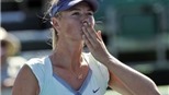 Quần vợt: Sharapova thẳng tiến, Ivanovic dừng bước