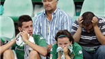 Betis muốn "điều tra đến cùng" 