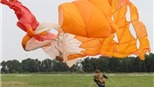 Lơ lửng trong ánh bình minh