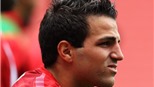Fabregas trở lại Arsenal