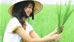 Phùng Thị Mỹ -  Hoa hậu của lúa
