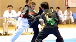 Giành 14 HCV, Việt Nam dẫn đầu tại giải Pencak Silat vô địch Đông Nam Á