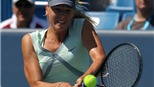 Maria Sharapova: Thu nhập tăng, thành tích giảm