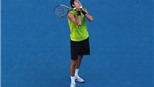 ĐKVĐ Del Potro lỡ hẹn với giải Mỹ mở rộng 