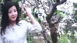 Phim Hoa đào bị chê bai