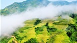 Ruộng bậc thang 