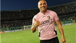 Palermo: Miccoli đã sẵn sàng