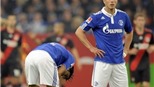 Schalke lại thua trên sân nhà: Khi Veltins Arena thành tử địa