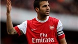 Arsenal không thể có Fabregas ở trận tái đấu với Shakhtar
