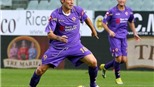 00h00 ngày 14/11, Fiorentina – Cesena: Sẽ thắng, nhưng…