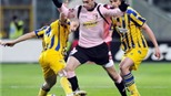 00h00 ngày 12/11, Palermo – Parma: “Rosanero” chuộc lỗi