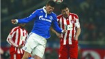 23h30 ngày 12/12,Mainz - Schalke:  Thừa thắng xông lên
