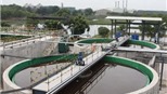 Nhiều nông dân chưa chịu nhận bồi thường của Vedan