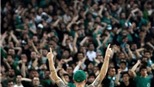 Thua trận, Panathinaikos bị CĐV nhà truy đuổi 