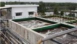 Vedan cam kết sớm chuyển tiền bồi thường đợt hai