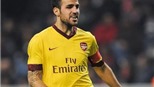 Fabregas bảo vệ đàn em trước phản ứng của Balotelli