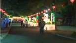 Lần đầu tiên triển lãm hoa đăng tại Hà Nội