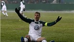 Ghi bàn ở Bundesliga năm 2010:     Dzeko là số một