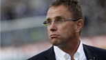 Ralf Rangnick chia tay Hoffenheim: Cú sốc đầu năm