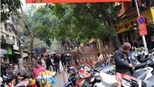 Ngắm phố hoa rực rỡ trong nắng xuân