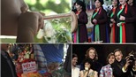 Bản tin Văn hóa toàn cảnh ngày 20/2/2011