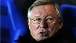 Sir Alex: Cúp FA rất quan trọng