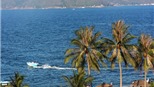 Hệ sinh thái vịnh Nha Trang đang bị đe dọa