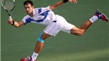Djokovic: "Tôi đang trải qua 5 tháng hoàn hảo trong sự nghiệp"
