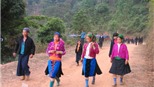 Bản tin Văn hóa toàn cảnh ngày 4/5/2011