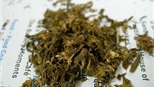 Vận chuyển ma túy xuyên quốc gia qua đường... bưu điện