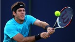 Del Potro bị loại sớm ở Queen's Club