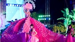 Rực rỡ Lễ hội đường phố tại Festival Biển 2011