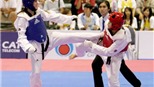 Khai mạc giải taekwondo các CLB quốc tế