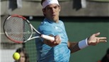 Del Potro nuôi tham vọng "lật đổ" Murray