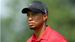 "Mạnh Thường Quân" thứ 6 quay lưng với Tiger Woods