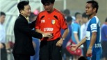 Con gà và quả trứng