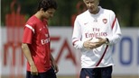 Fabregas vẫn dự Champions League cùng Arsenal