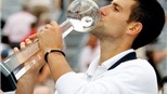 Djokovic vô địch Rogers Cup 2011: Số một hoàn hảo