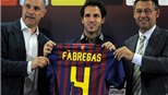 Ở đây, tôi là Fàbregas!