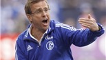 HLV Ralf Rangnick của Schalke bất ngờ xin từ chức  